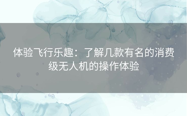 体验飞行乐趣：了解几款有名的消费级无人机的操作体验