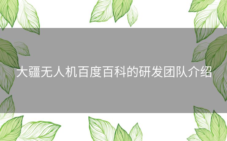 大疆无人机百度百科的研发团队介绍