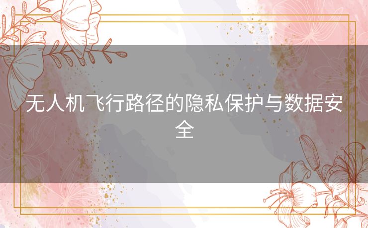无人机飞行路径的隐私保护与数据安全