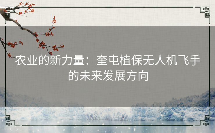 农业的新力量：奎屯植保无人机飞手的未来发展方向