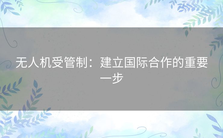 无人机受管制：建立国际合作的重要一步