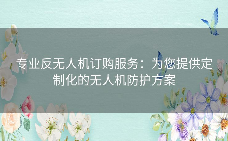 专业反无人机订购服务：为您提供定制化的无人机防护方案