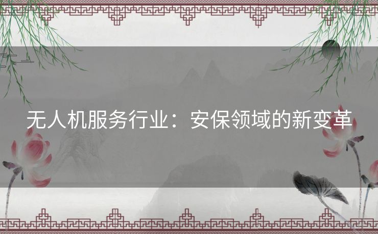 无人机服务行业：安保领域的新变革