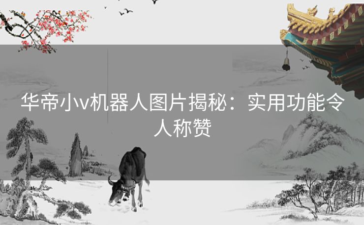 华帝小v机器人图片揭秘：实用功能令人称赞