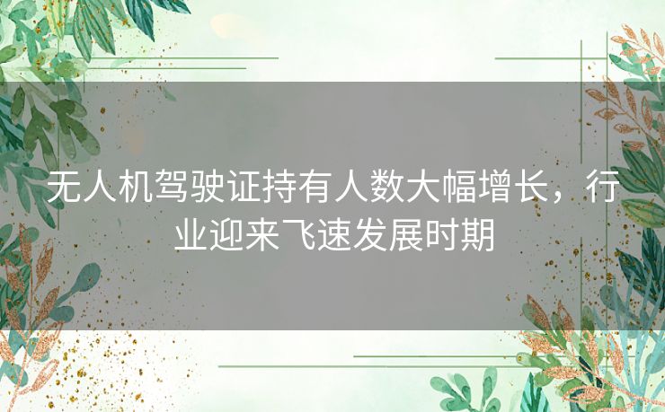 无人机驾驶证持有人数大幅增长，行业迎来飞速发展时期