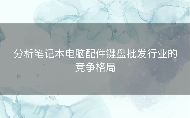 分析笔记本电脑配件键盘批发行业的竞争格局