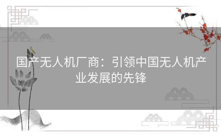 国产无人机厂商：引领中国无人机产业发展的先锋