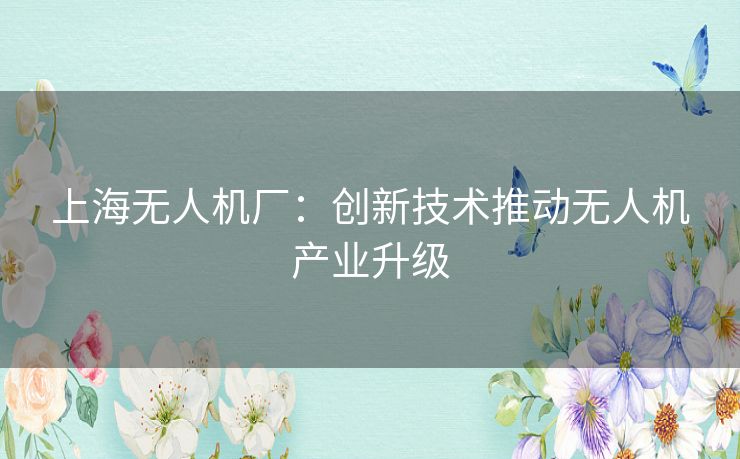 上海无人机厂：创新技术推动无人机产业升级