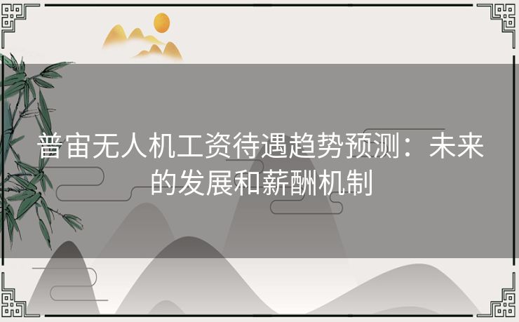 普宙无人机工资待遇趋势预测：未来的发展和薪酬机制