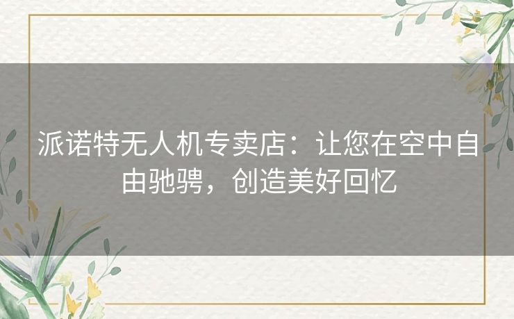 派诺特无人机专卖店：让您在空中自由驰骋，创造美好回忆