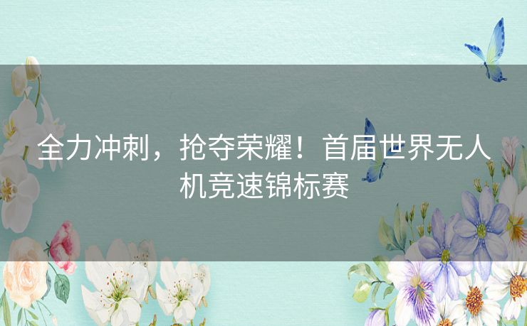 全力冲刺，抢夺荣耀！首届世界无人机竞速锦标赛