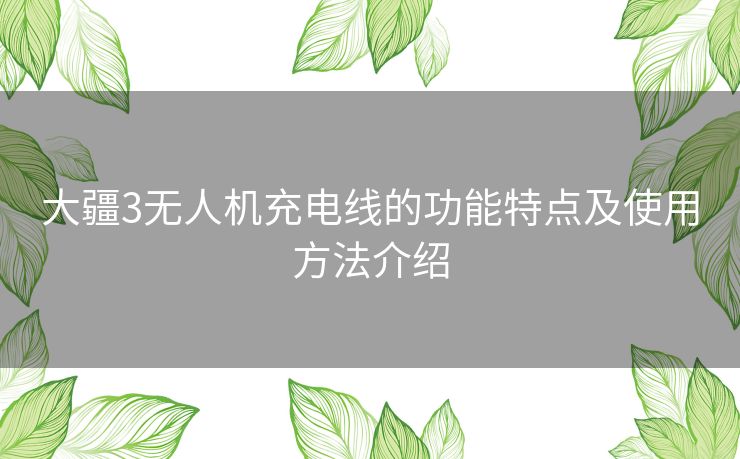 大疆3无人机充电线的功能特点及使用方法介绍