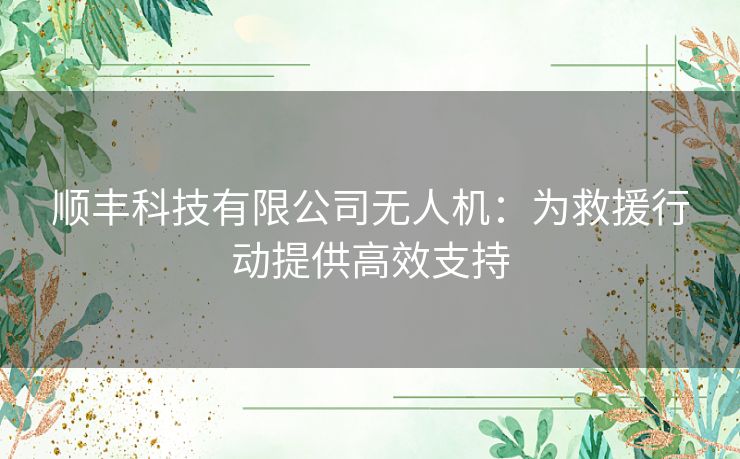 顺丰科技有限公司无人机：为救援行动提供高效支持