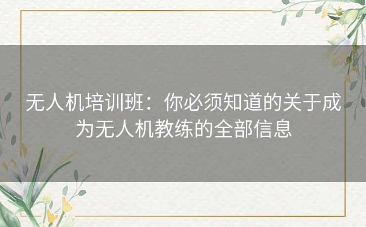 无人机培训班:你必须知道的关于成为无人机教练的全部信息 无人机培训班:你必须知道的关于成为无人机教练的全部信息