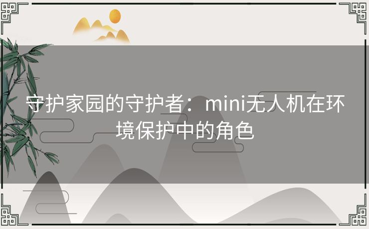 守护家园的守护者：mini无人机在环境保护中的角色
