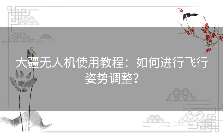 大疆无人机使用教程：如何进行飞行姿势调整？