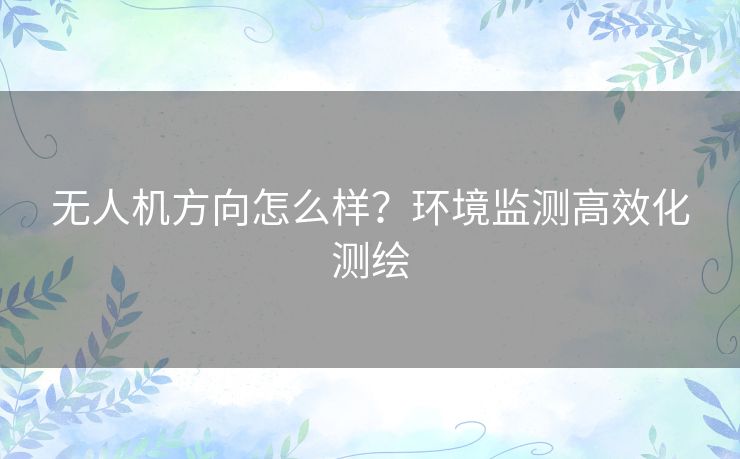 无人机方向怎么样？环境监测高效化测绘