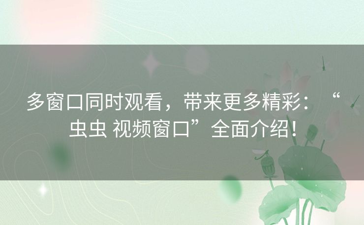 多窗口同时观看，带来更多精彩：“虫虫 视频窗口”全面介绍！