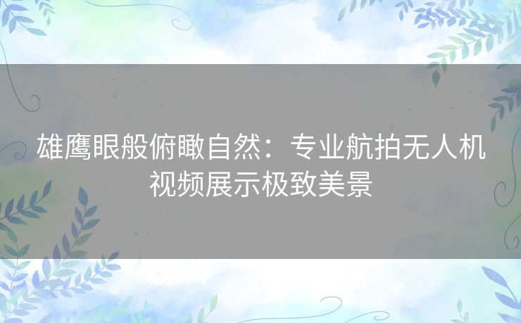 雄鹰眼般俯瞰自然：专业航拍无人机视频展示极致美景