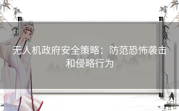无人机政府安全策略：防范恐怖袭击和侵略行为