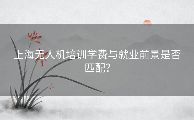 上海无人机培训学费与就业前景是否匹配？