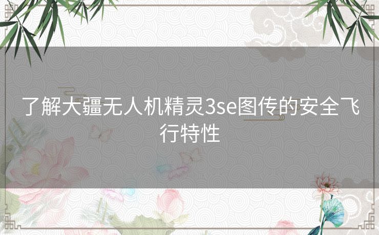了解大疆无人机精灵3se图传的安全飞行特性