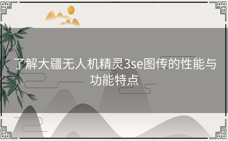 了解大疆无人机精灵3se图传的性能与功能特点