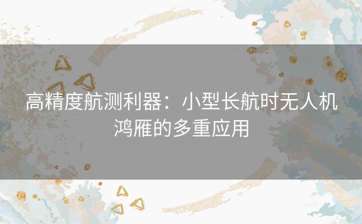 高精度航测利器：小型长航时无人机鸿雁的多重应用