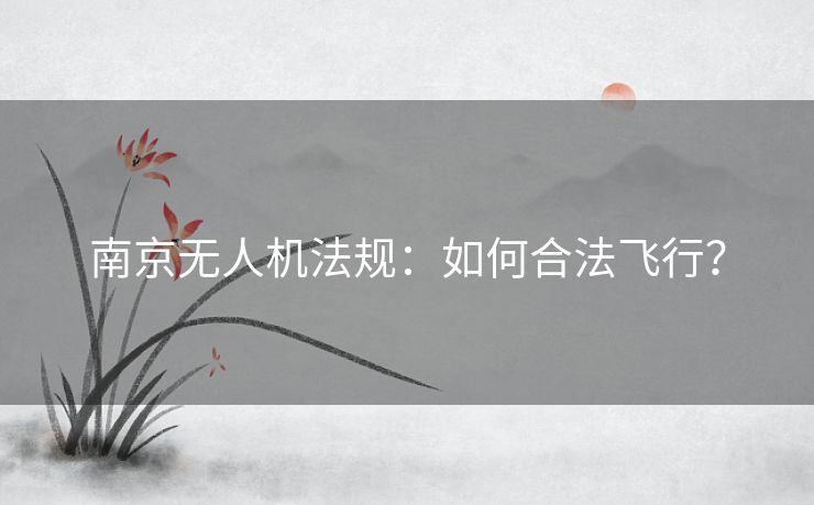 南京无人机法规：如何合法飞行？