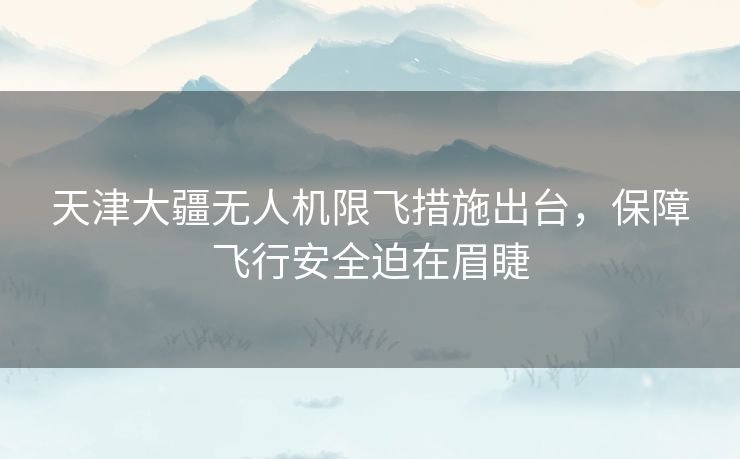 天津大疆无人机限飞措施出台，保障飞行安全迫在眉睫