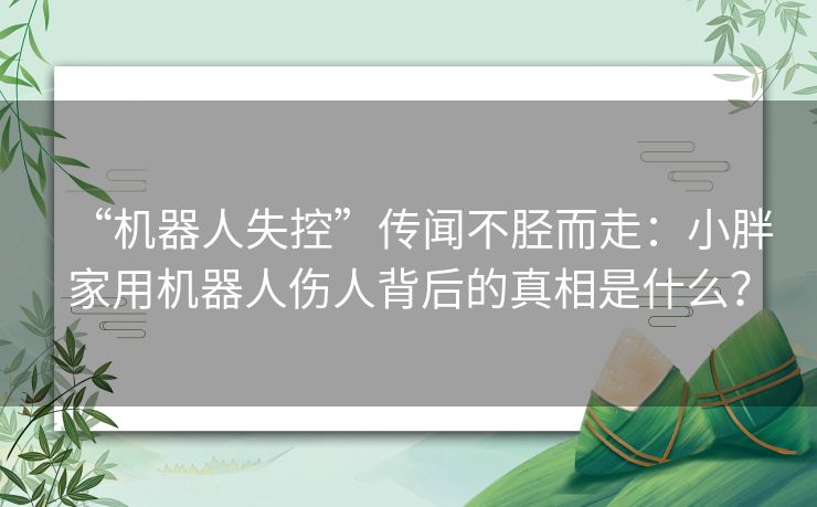“机器人失控”传闻不胫而走：小胖家用机器人伤人背后的真相是什么？