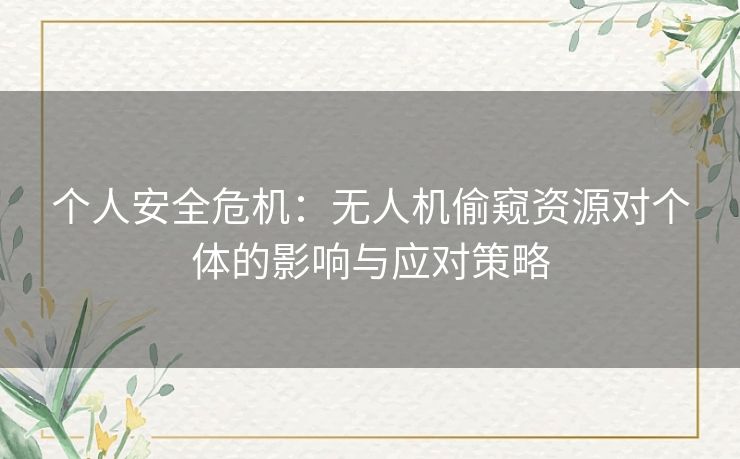个人安全危机：无人机偷窥资源对个体的影响与应对策略