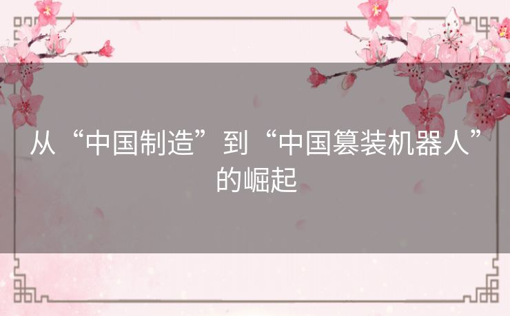 从“中国制造”到“中国篡装机器人”的崛起