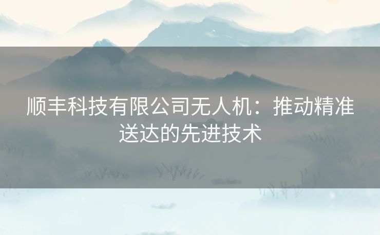 顺丰科技有限公司无人机：推动精准送达的先进技术
