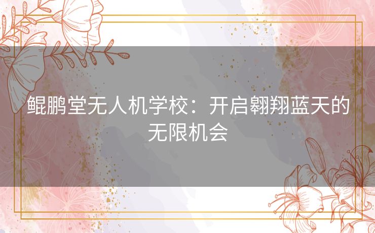 鲲鹏堂无人机学校：开启翱翔蓝天的无限机会