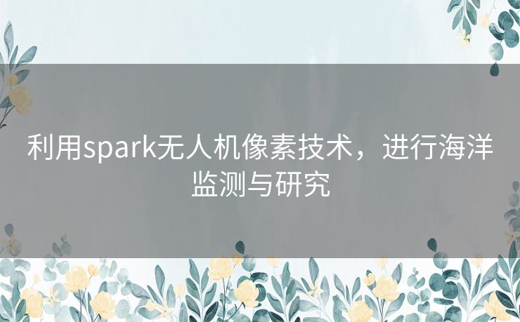 利用spark无人机像素技术，进行海洋监测与研究