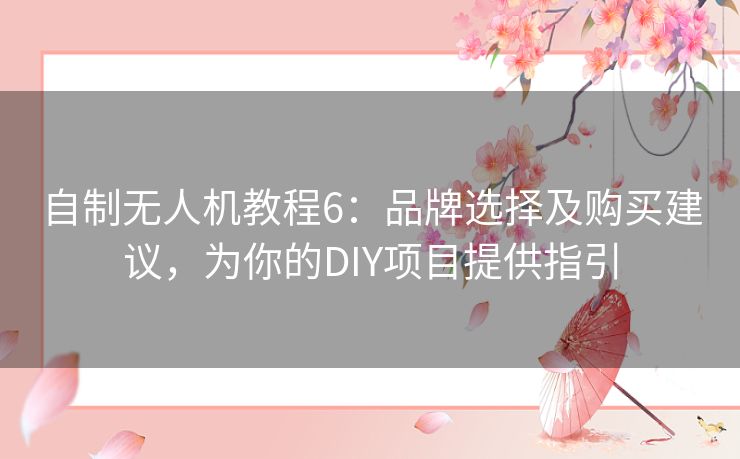 自制无人机教程6：品牌选择及购买建议，为你的DIY项目提供指引