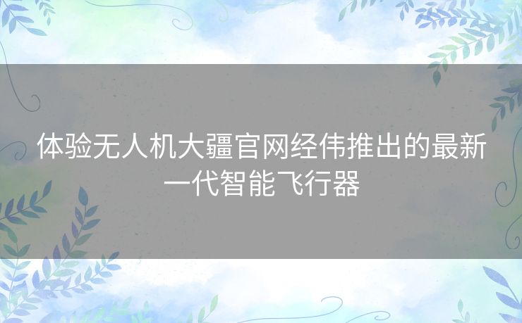 体验无人机大疆官网经伟推出的最新一代智能飞行器