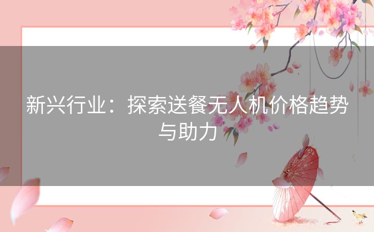 新兴行业：探索送餐无人机价格趋势与助力