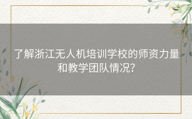 了解浙江无人机培训学校的师资力量和教学团队情况？