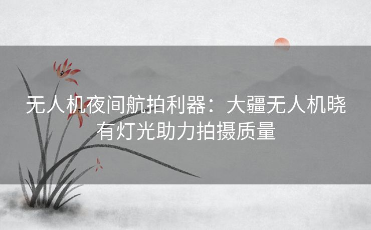 无人机夜间航拍利器：大疆无人机晓有灯光助力拍摄质量