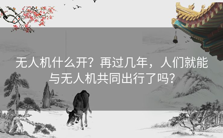 无人机什么开？再过几年，人们就能与无人机共同出行了吗？
