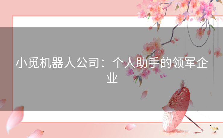 小觅机器人公司：个人助手的领军企业