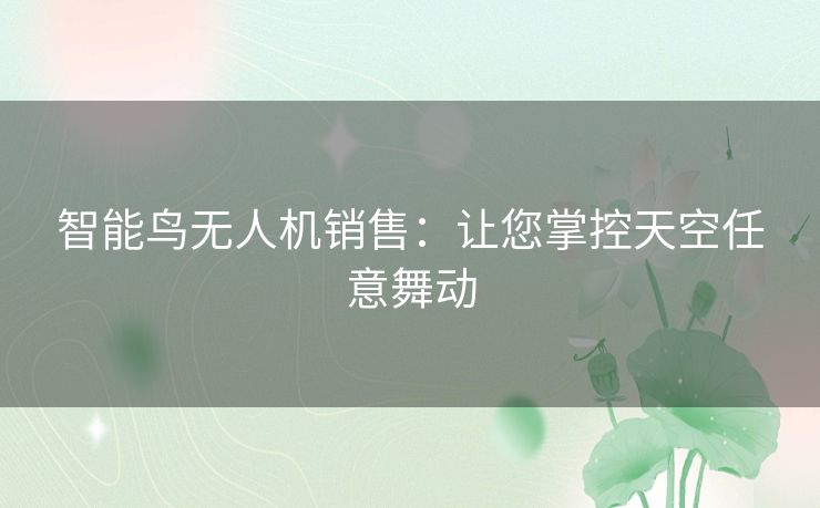 智能鸟无人机销售：让您掌控天空任意舞动