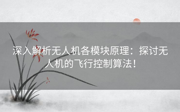深入解析无人机各模块原理：探讨无人机的飞行控制算法！