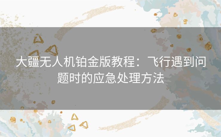 大疆无人机铂金版教程：飞行遇到问题时的应急处理方法