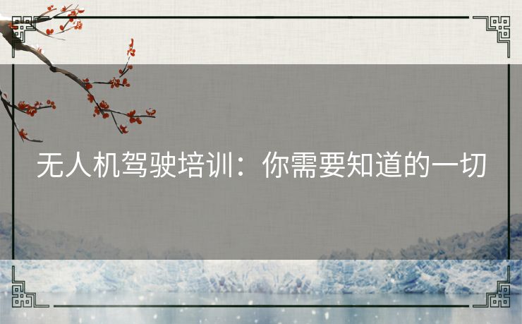 无人机驾驶培训：你需要知道的一切