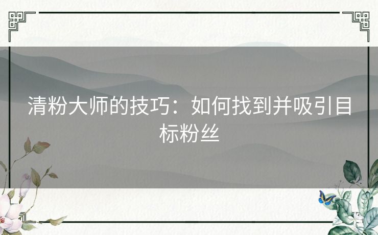 清粉大师的技巧：如何找到并吸引目标粉丝