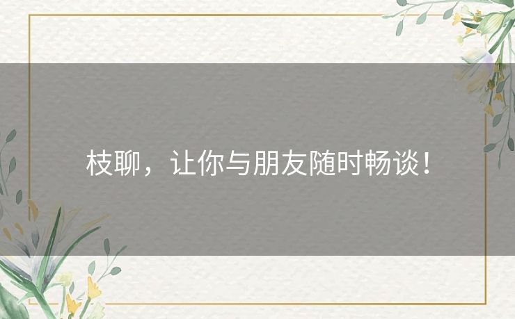 枝聊，让你与朋友随时畅谈！