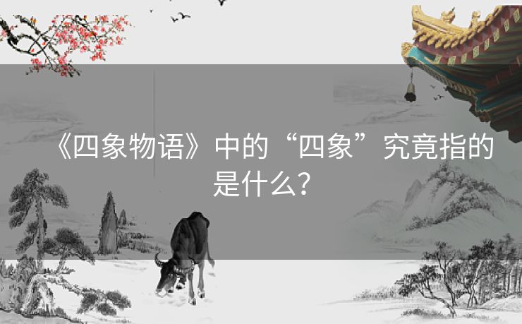 《四象物语》中的“四象”究竟指的是什么？